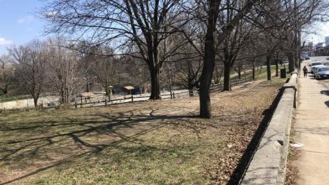 Still here, still buried! - 41B2F9C0-FDFC-48E2-99CF-211538.jpg