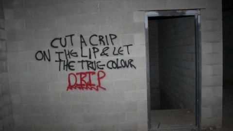 And then I finished the ladder - IMG_2495.jpg