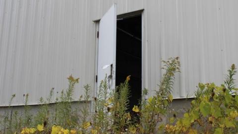 Nails in my foot - IMG_8872.jpg