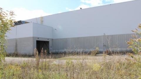 Nails in my foot - IMG_8884.jpg