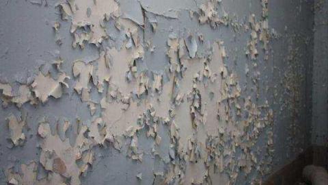 Gallery - IMG_1847.jpg