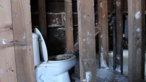 Queen Joseph - IMG_7920.jpg