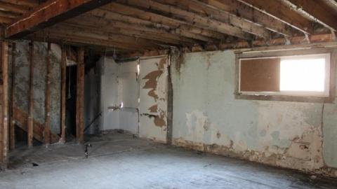 Queen Joseph - IMG_7925.jpg