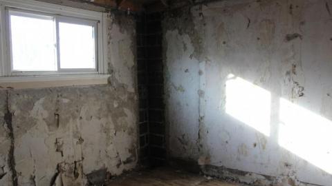 Queen Joseph - IMG_7931.jpg