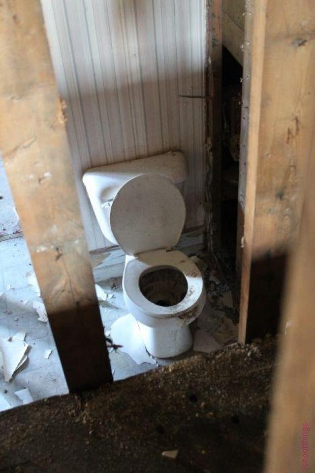 Queen @ Joseph photo 5