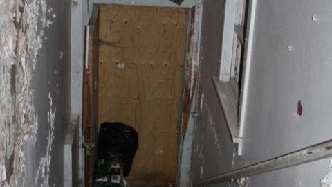 Queen Joseph - IMG_7938.jpg