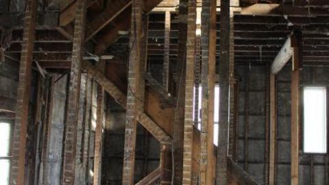 Queen Joseph - IMG_7949.jpg