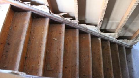 Queen Joseph - IMG_7952.jpg