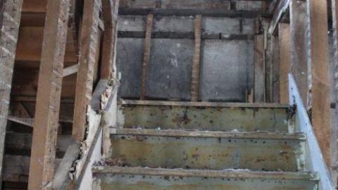 Queen Joseph - IMG_7957.jpg