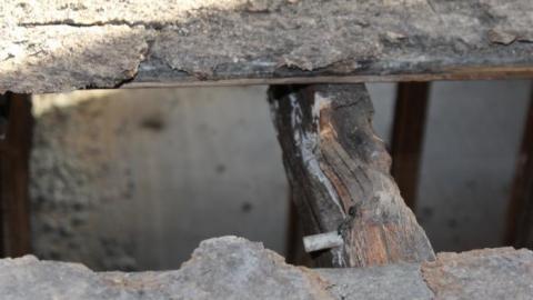 Queen Joseph - IMG_7963.jpg