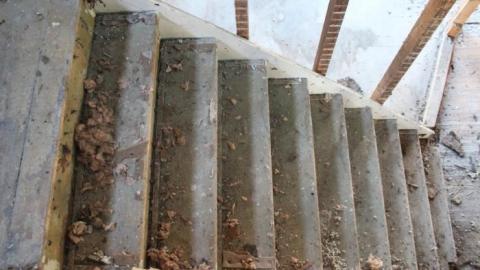 Queen Joseph - IMG_7964.jpg