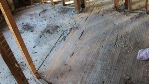 Queen Joseph - IMG_7965.jpg