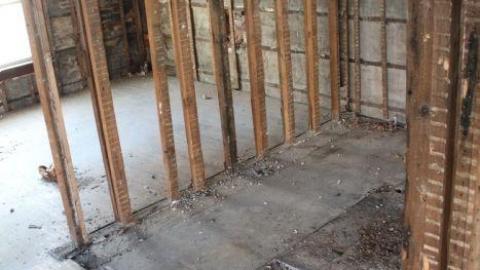 Queen Joseph - IMG_7970.jpg