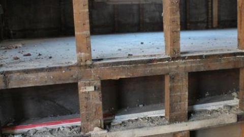 Queen Joseph - IMG_7975.jpg