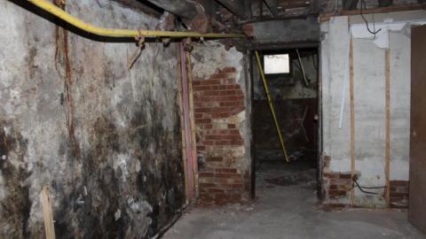 Queen Joseph - IMG_7997.jpg