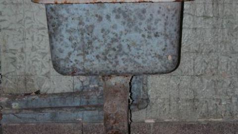 Queen Joseph - IMG_8008.jpg