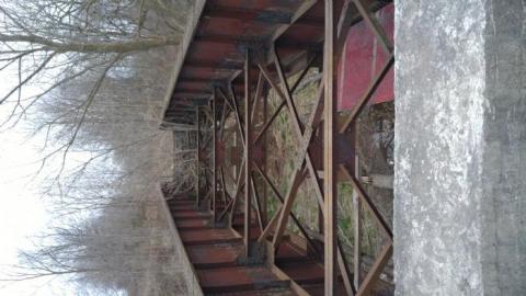 A different view of the same p - 20200427_201007.jpg