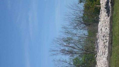 Demolished - Alma-College--St.-Thomas64.jpg