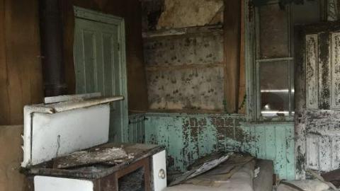 April 28, 2020 - 852E7C16-EE33-41B3-86D5-ED845D.jpg