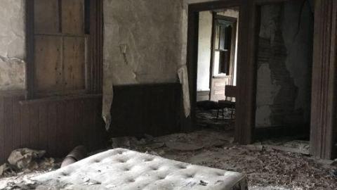 April 28, 2020 - 8CD5B983-2E77-46A3-9DF1-011F67.jpg