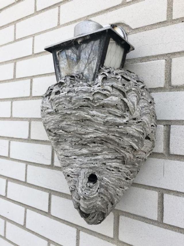 All alone bungalow photo 2