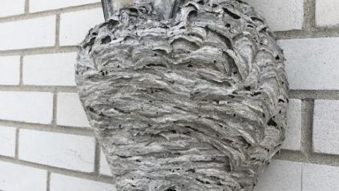 All alone bungalow photo 2