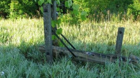 July 2011 - Holyrood-Farmhouse5.jpg