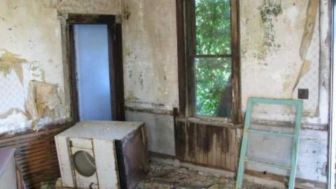 July 2011 - Holyrood-Farmhouse13.jpg