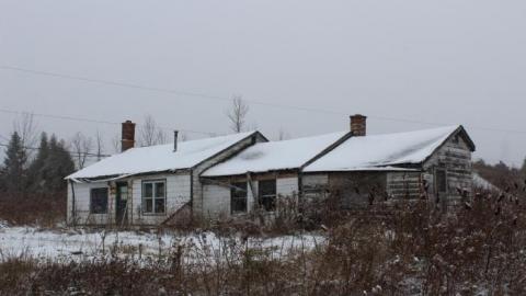 Winter 19' - IMG_0139.jpg