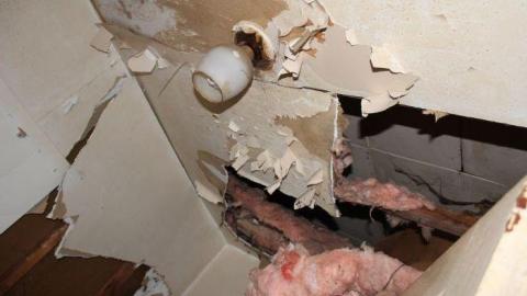 Winter 19' - IMG_0145.jpg