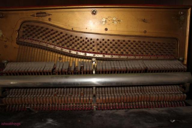 6 and Campbelville photo 2