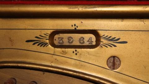 Winter 19' - IMG_0168.jpg