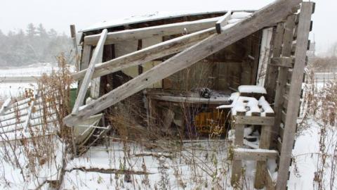 Winter 19' - IMG_0169.jpg