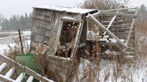 Winter 19' - IMG_0170.jpg