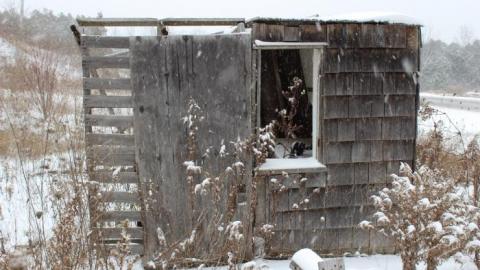 Winter 19' - IMG_0171.jpg