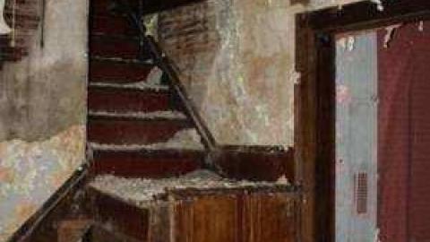 Gallery - IMG_1825.jpg