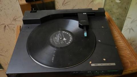 Hidden Butterflies '19 - DSC01915.jpg