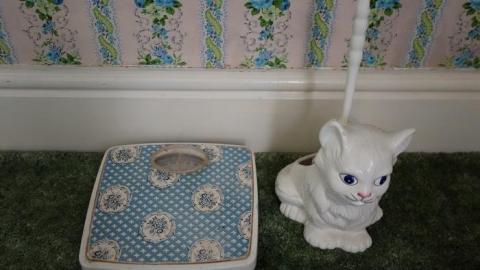 Hidden Butterflies '19 - DSC01925.jpg