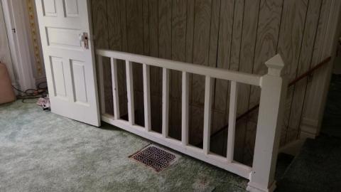 Hidden Butterflies '19 - DSC01927.jpg