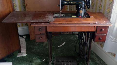 Hidden Butterflies '19 - DSC01933.jpg