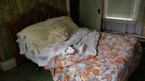 Hidden Butterflies '19 - DSC01940.jpg