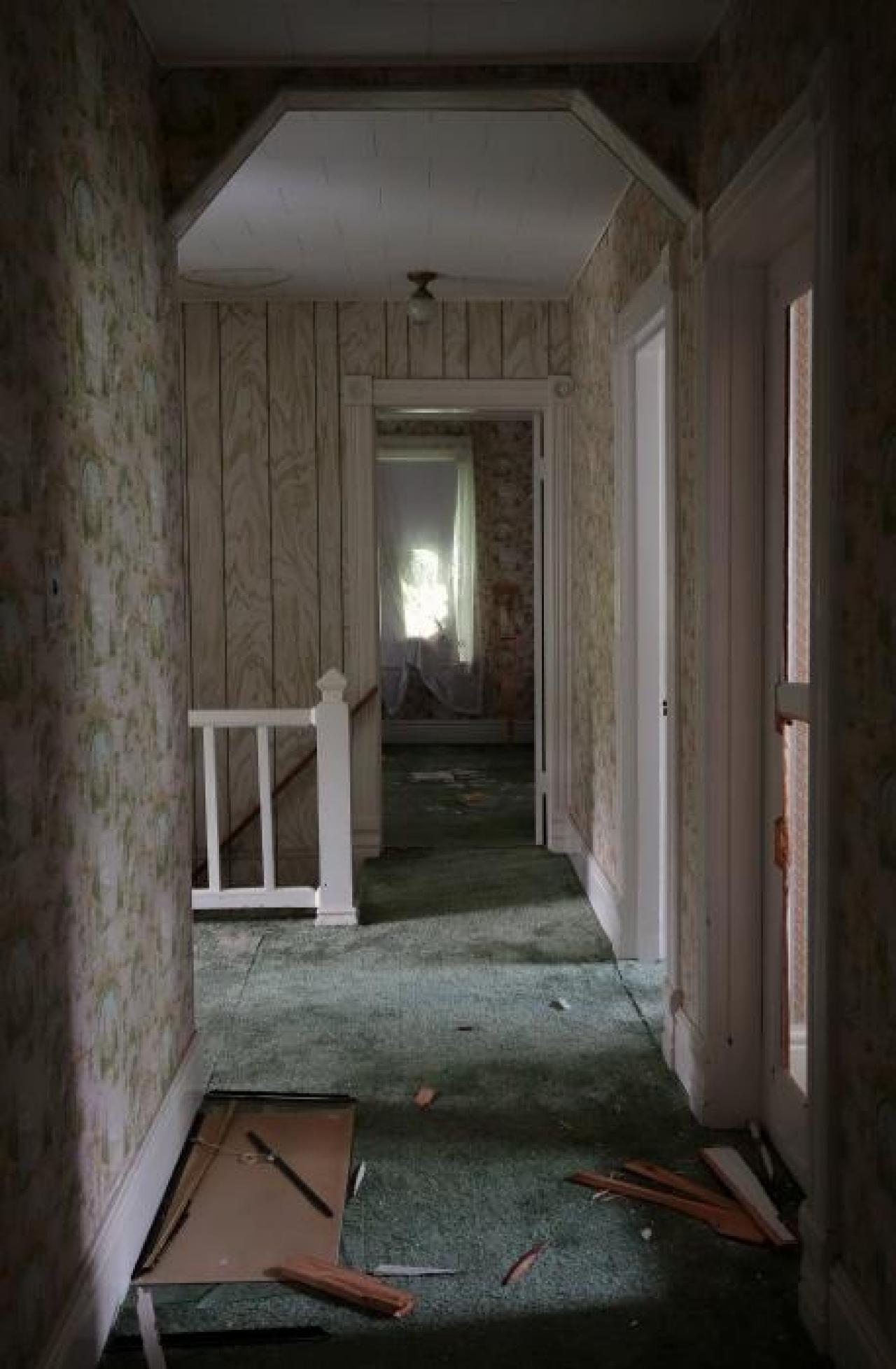 Hidden Butterflies '19 - DSC01943.jpg