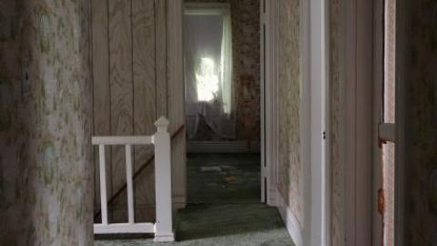 Hidden Butterflies '19 - DSC01943.jpg