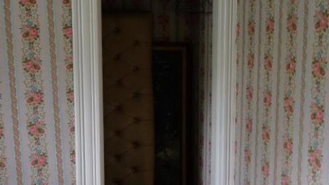 Hidden Butterflies '19 - DSC01947.jpg