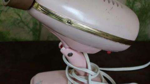 Hidden Butterflies '19 - DSC01951.jpg