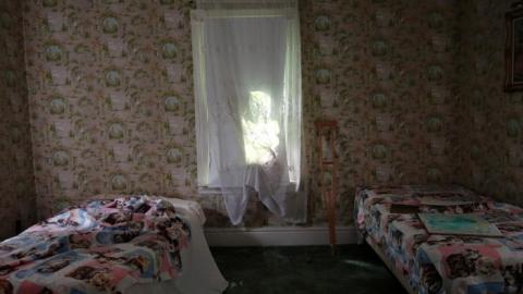 Hidden Butterflies '19 - DSC01954.jpg