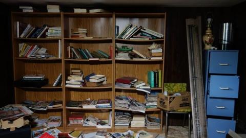 Hidden Butterflies '19 - DSC01961.jpg