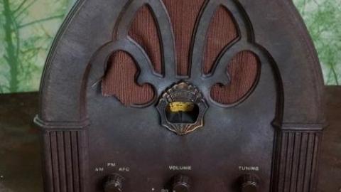 Hidden Butterflies '19 - DSC01974.jpg