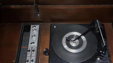 Hidden Butterflies '19 - DSC01977.jpg