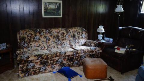 Hidden Butterflies '19 - DSC01979.jpg